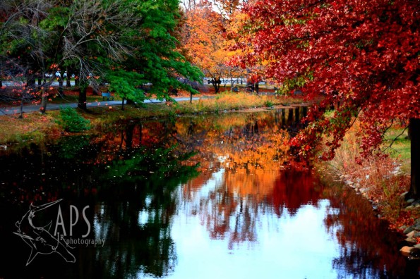The Charles River in Autumn